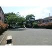 公園