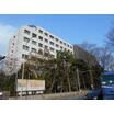 大学