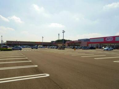 ヨークベニマル針ヶ谷店　1119ｍ/徒歩14分、車3分