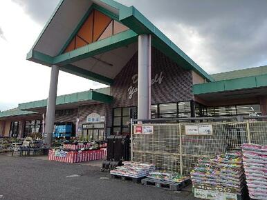 DCM水田店