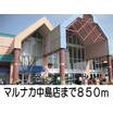 販売店