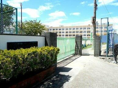 神戸市立南五葉小学校