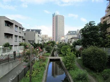 古石場川親水公園