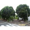 公園