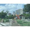 公園