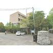 大学