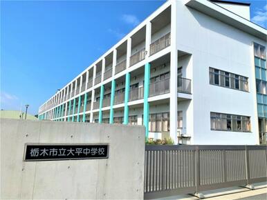 栃木市立大平中学校
