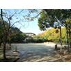 公園