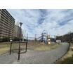 公園