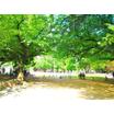 公園