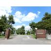 大学