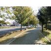 公園