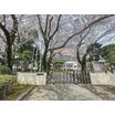 幼稚園、保育園