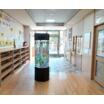 幼稚園、保育園