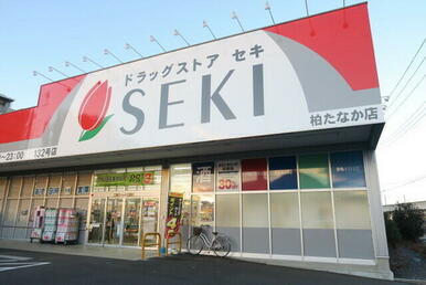ドラッグストアセキ 柏たなか店