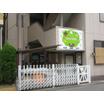 幼稚園、保育園