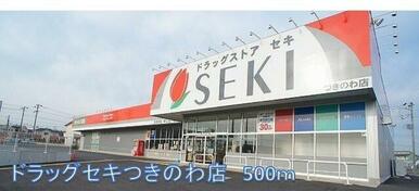 ドラッグセキつきのわ店