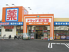 新星堂薬局