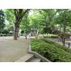 公園