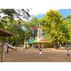 公園