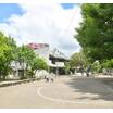 幼稚園、保育園