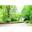 公園