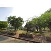 公園