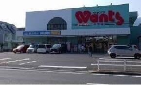 ウォンツ