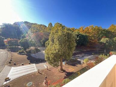 バルコニーからの眺望