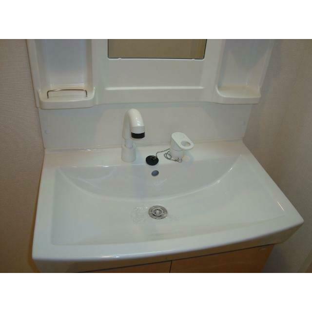 シャンプードレッサー