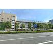 小学校