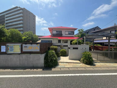 柏こばと保育園ぷりん