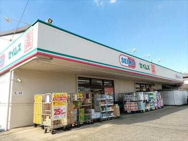 ドラッグセイムス 諏訪町店