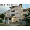 小学校