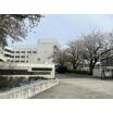 小学校