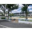 公園