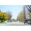 公園