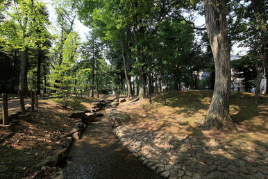 駒沢緑泉公園