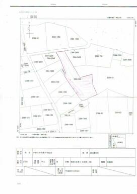 公図　土地の面積：９１９㎡（２７８坪）