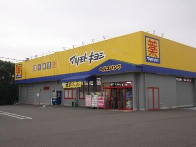ヘルスバンク加茂野店