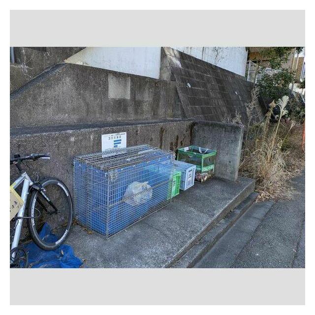 ゴミ捨て場