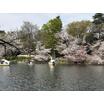 公園