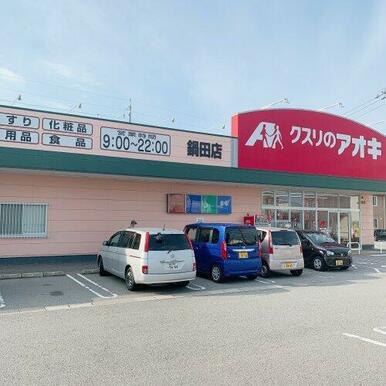 クスリのアオキ 鍋田店