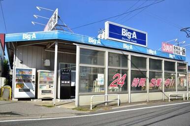 ビッグ・エー千葉園生店