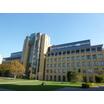 大学