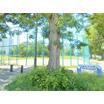 公園
