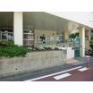 幼稚園、保育園