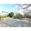 公園