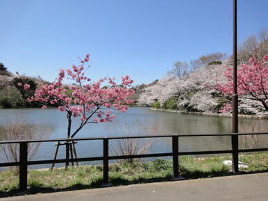 三ツ池公園