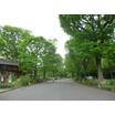 公園